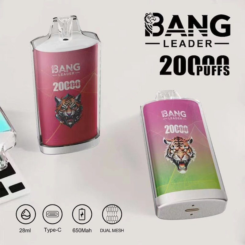 bang-leader-20k-einweg-vape-frucht-20k-1-st-ck image 1