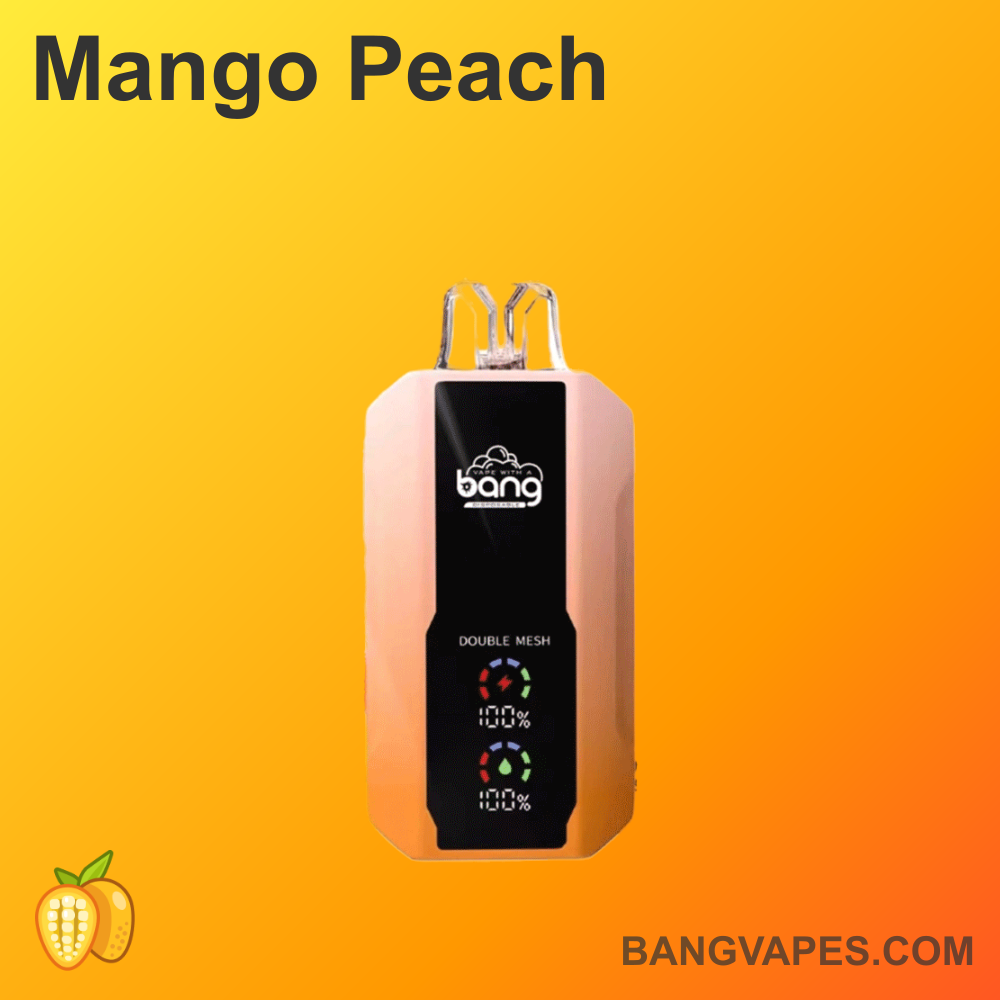 bang-25000-einweg-vape-25-000-z-ge-30ml-mesh image 6