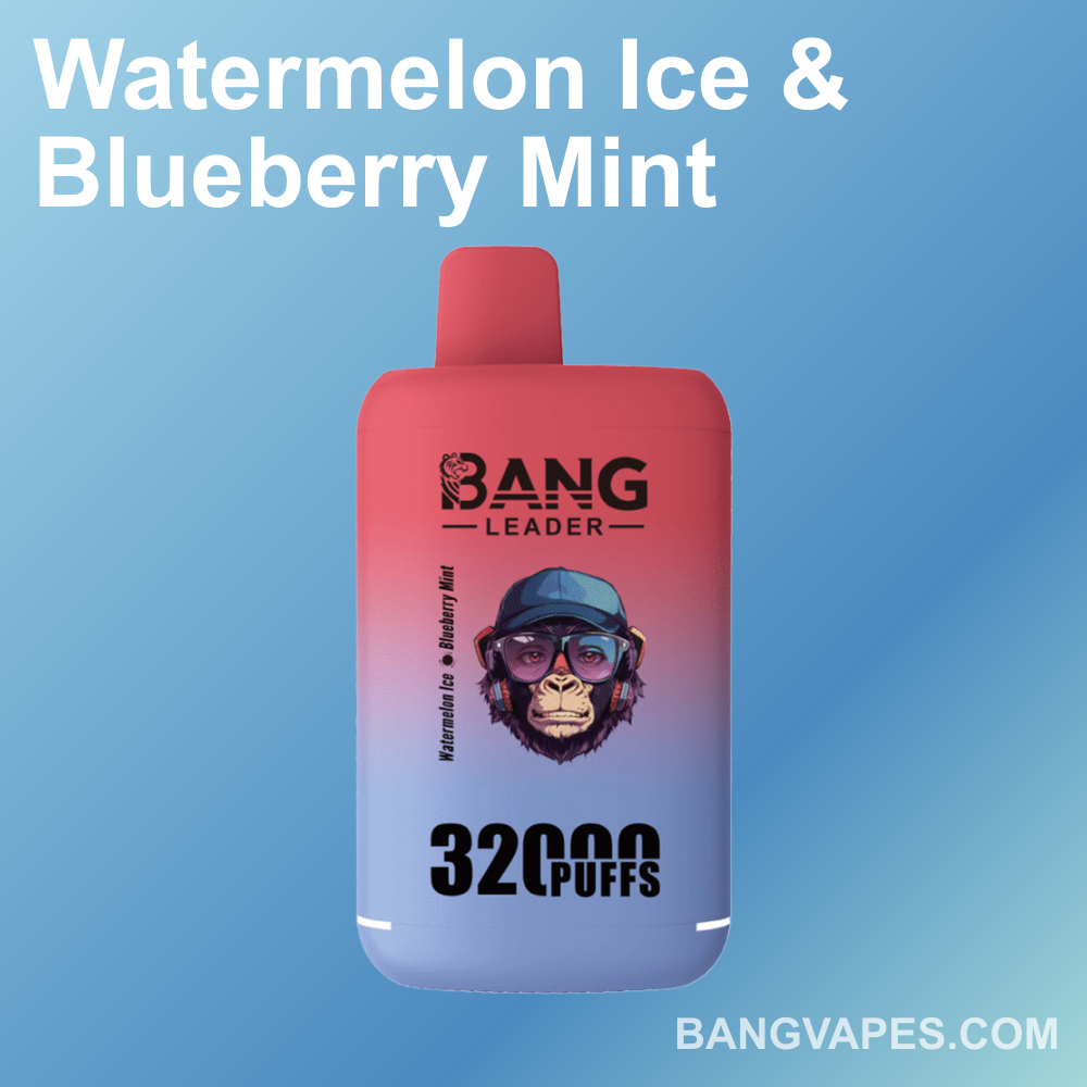 bang-leader-32k-dual-einweg-vape-2-sorten-32-000-z-ge image 3