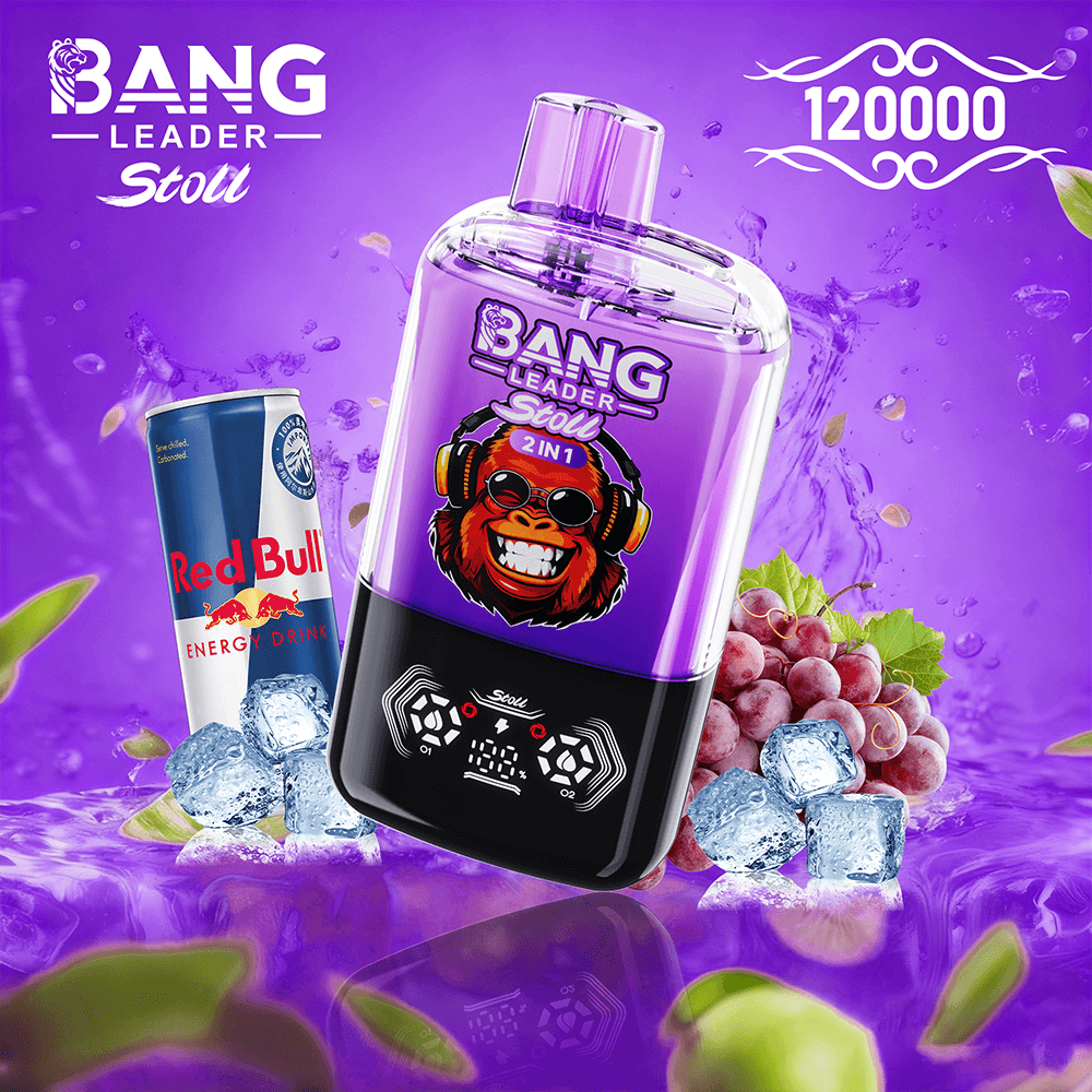 bang-leader-120k-dual-einweg-vape-120-000-z-ge-2-aromen image 7