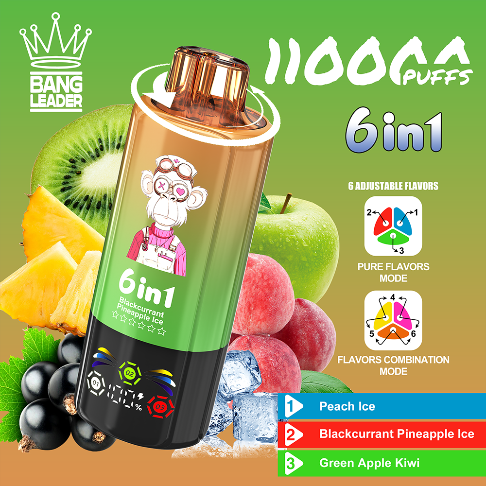 bang-leader-110k-einweg-vape-6-in-1-110-000-puffs image 7
