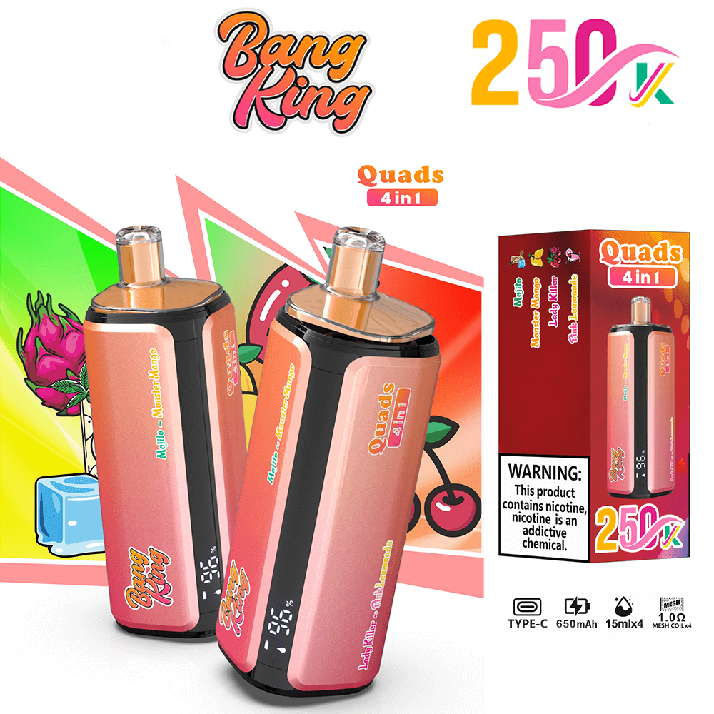 bang-king-250k-einweg-vape-4-in-1-sorten-mesh-coil image 6