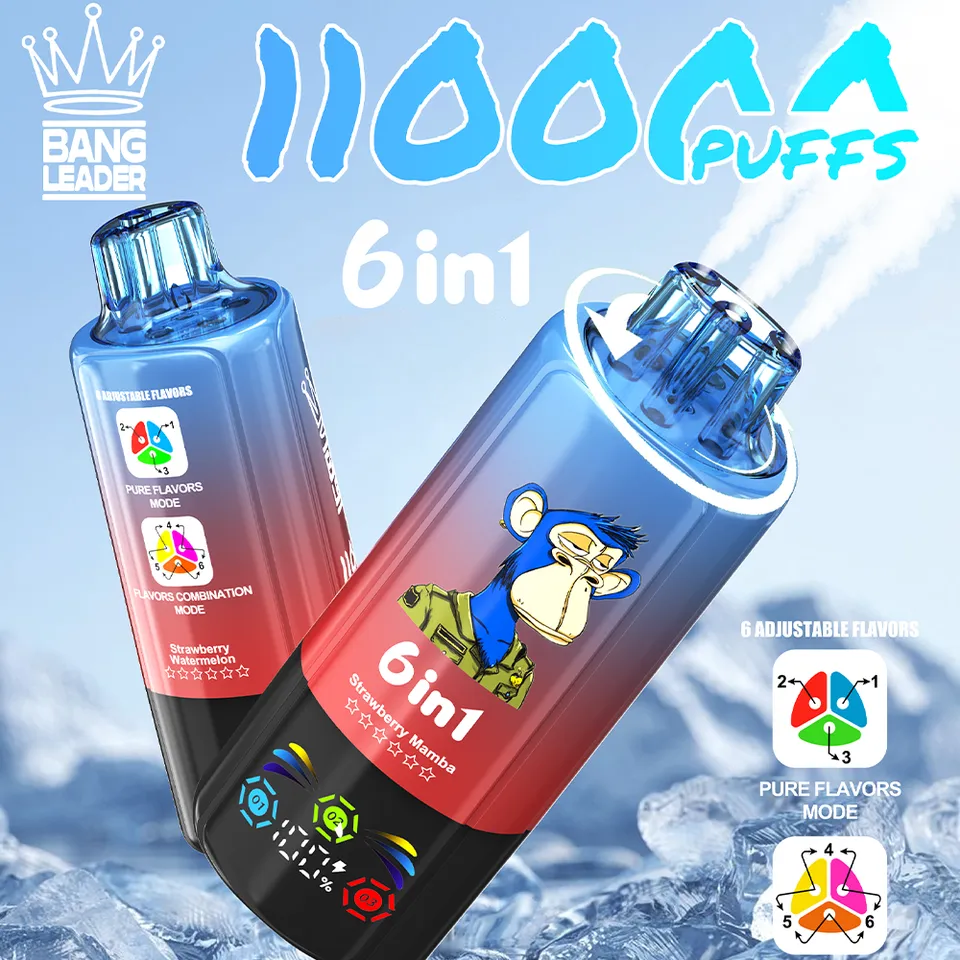 bang-leader-110k-einweg-vape-6-in-1-110-000-puffs image 1