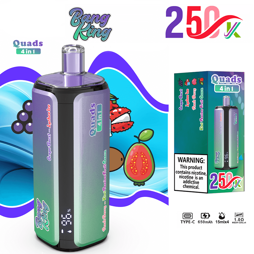 bang-king-250k-einweg-vape-4-in-1-sorten-mesh-coil image 2