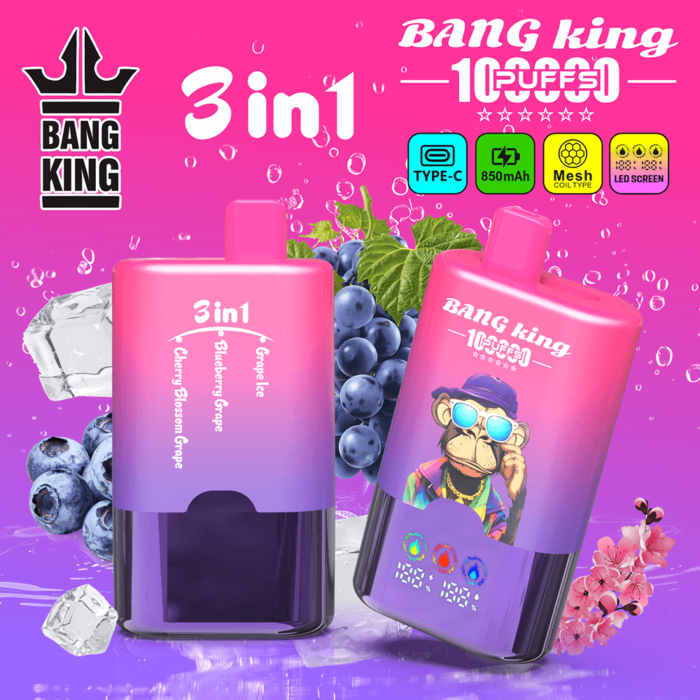 bang-king-100k-3-in-1-einweg-vape-100-000-z-ge-type-c image 7