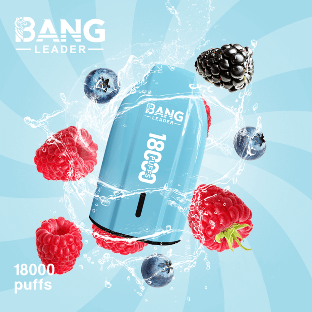 bang-leader-18k-einweg-vape-single-flavor-18000-puffs-mesh-coil image 7