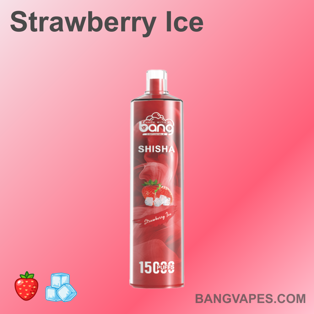 bang-shisha-15000-einweg-e-shisha-15-000-z-ge-dtl-frucht image 5