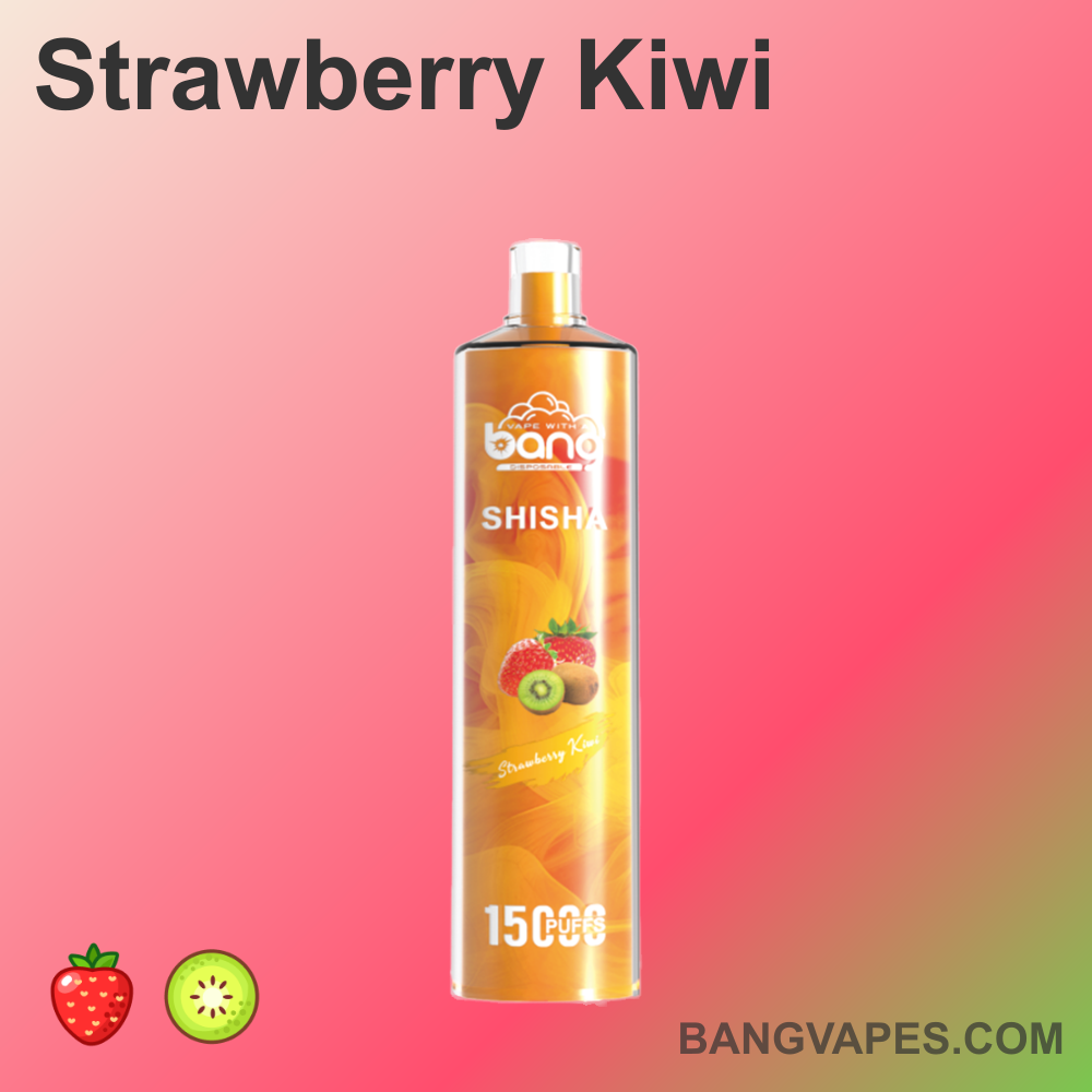 bang-shisha-15000-einweg-e-shisha-15-000-z-ge-dtl-frucht image 4