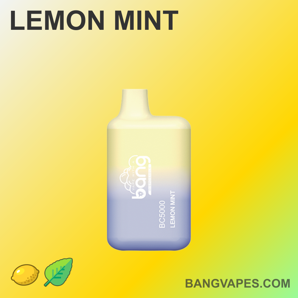 bang-bc-5000-einweg-vape-5k-puffs-kompakt-frucht image 5