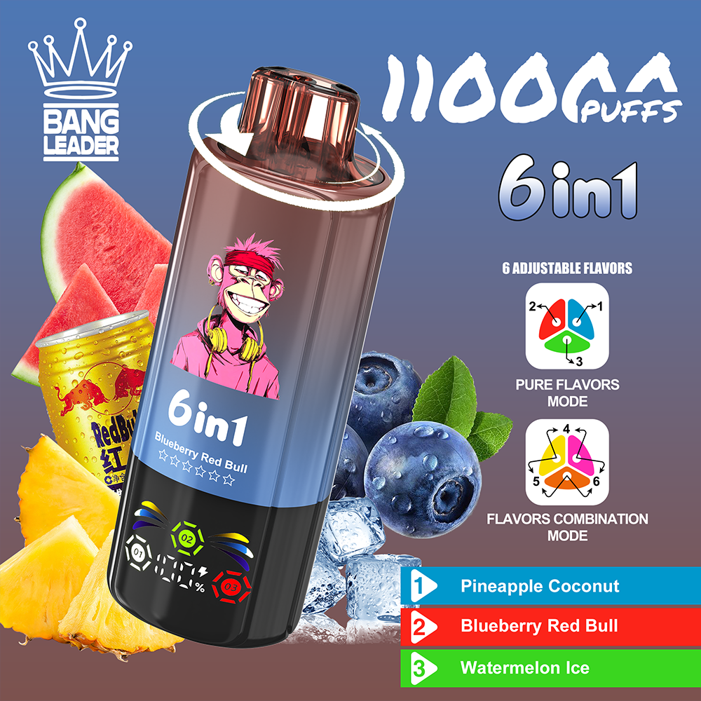 bang-leader-110k-einweg-vape-6-in-1-110-000-puffs image 8