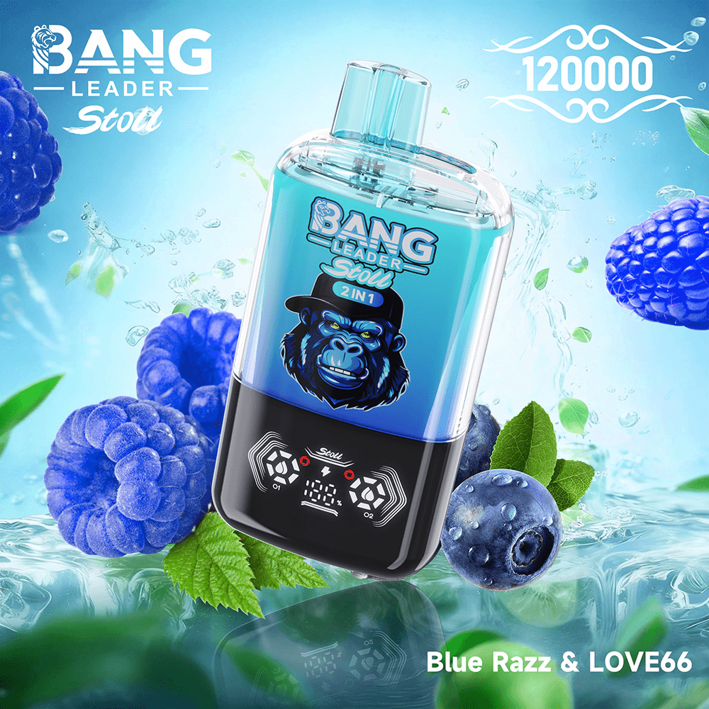 bang-leader-120k-dual-einweg-vape-120-000-z-ge-2-aromen image 2