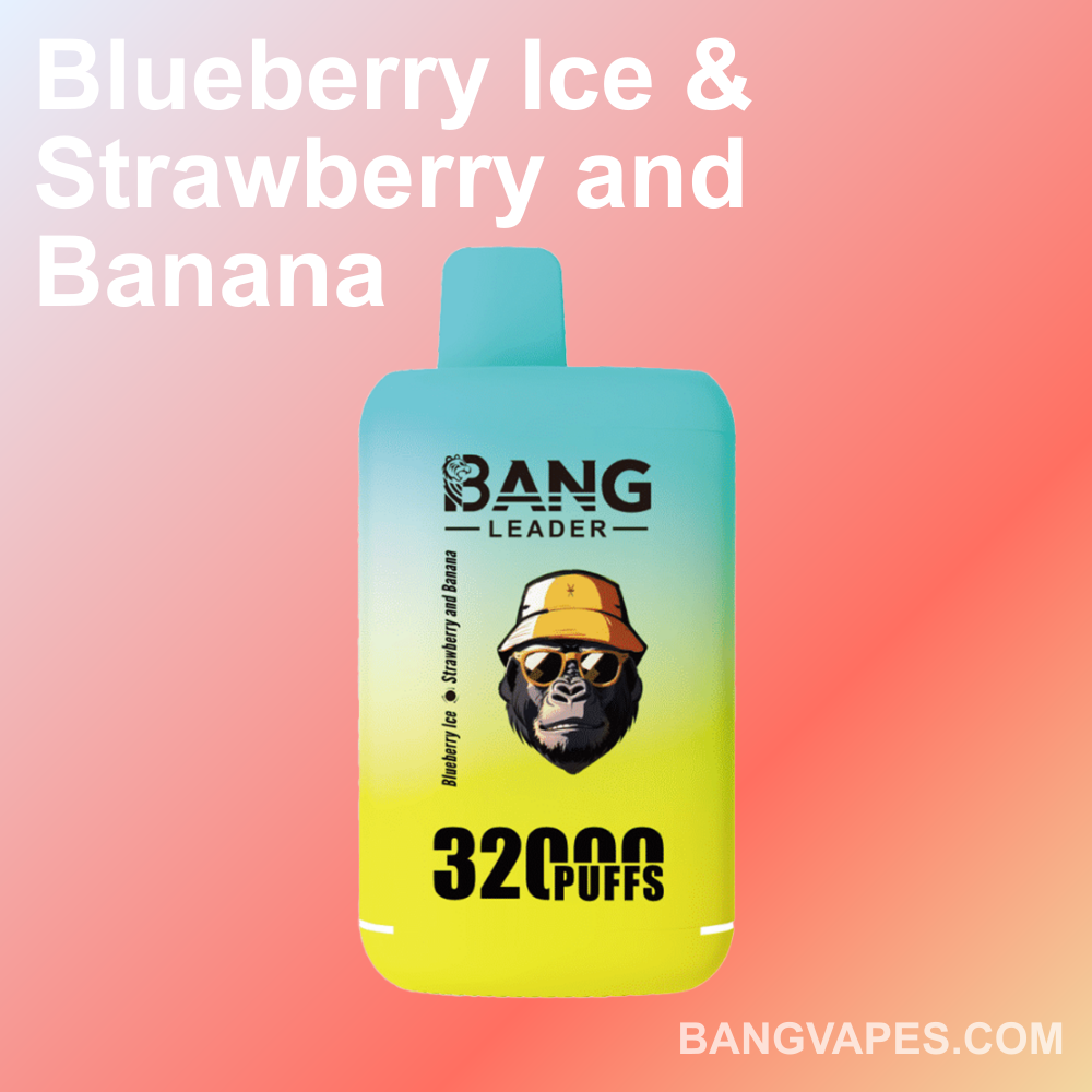 bang-leader-32k-einweg-vape-dual-flavor-32000-puffs-type-c image 3