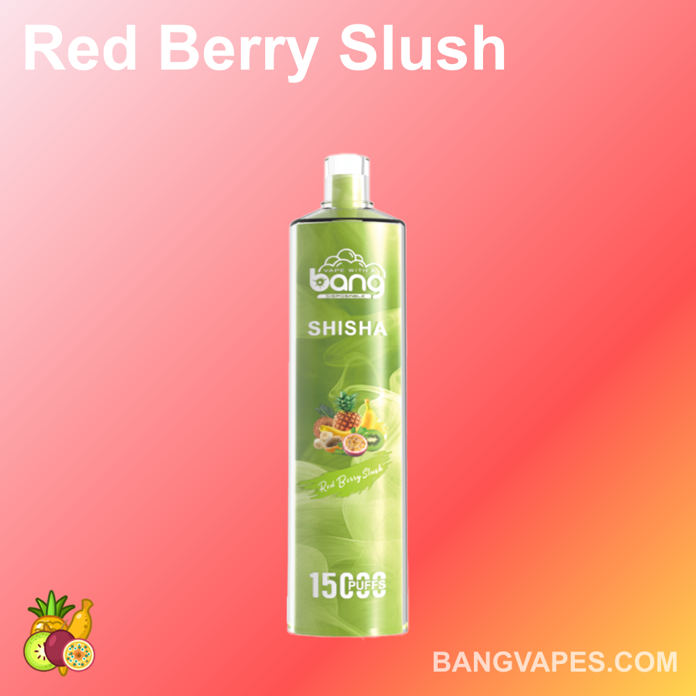 bang-shisha-15000-einweg-e-shisha-15-000-z-ge-dtl-frucht image 7