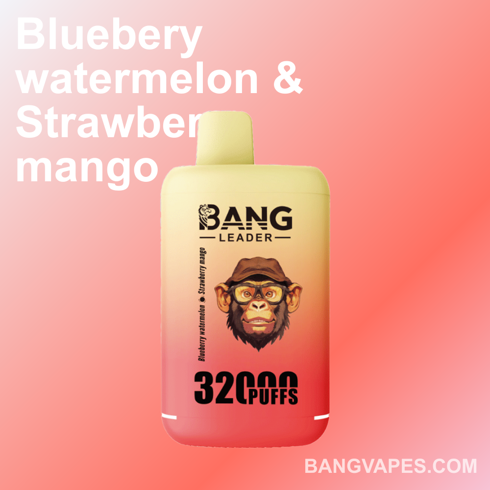 bang-leader-32k-einweg-vape-dual-flavor-32000-puffs-type-c image 5
