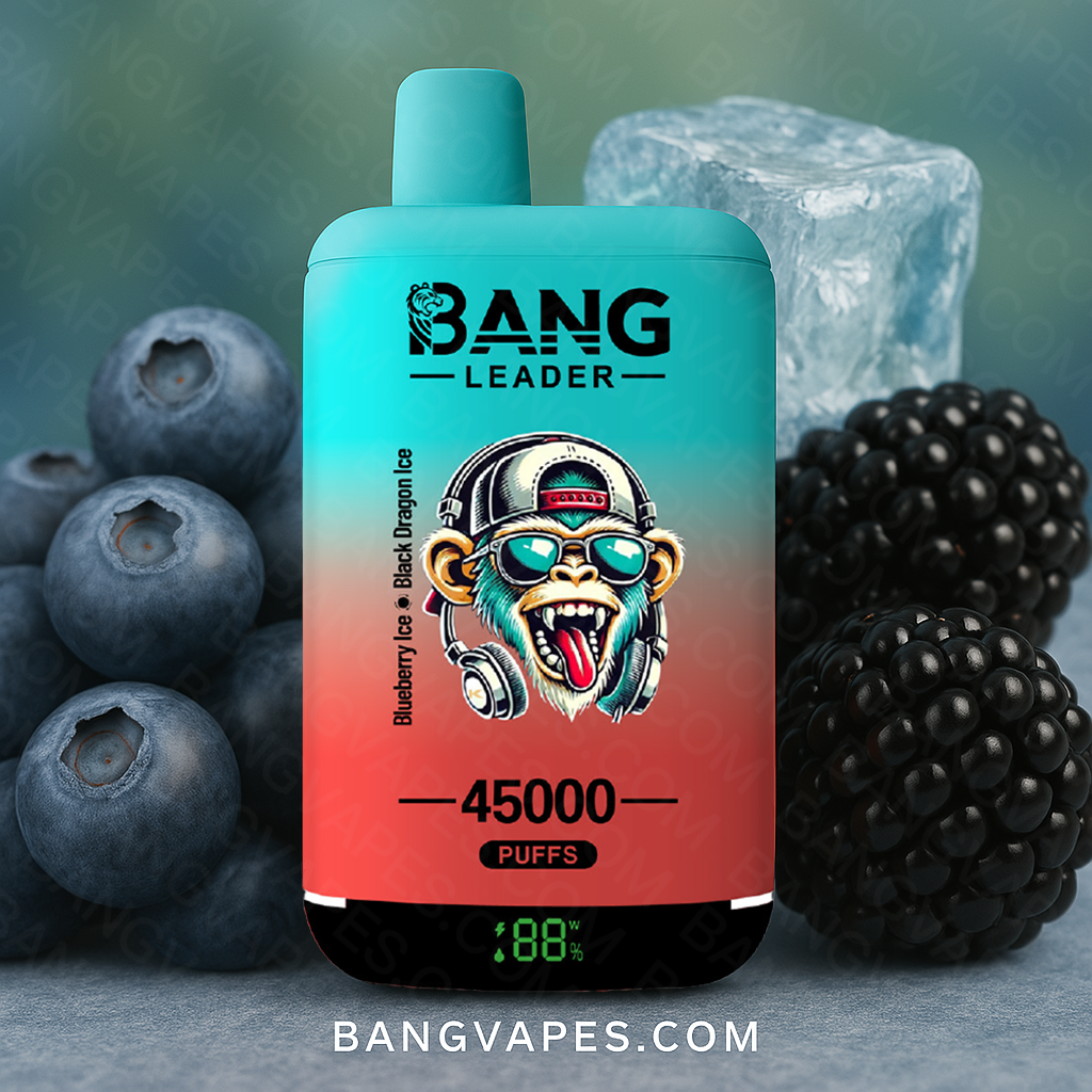 bang-leader-45k-einweg-vape-2-in-1-dual-flavor-45-000 image 2
