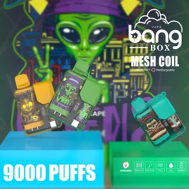 bang-box-9000-einweg-vape-frucht-9000-z-ge-kompakt image 1