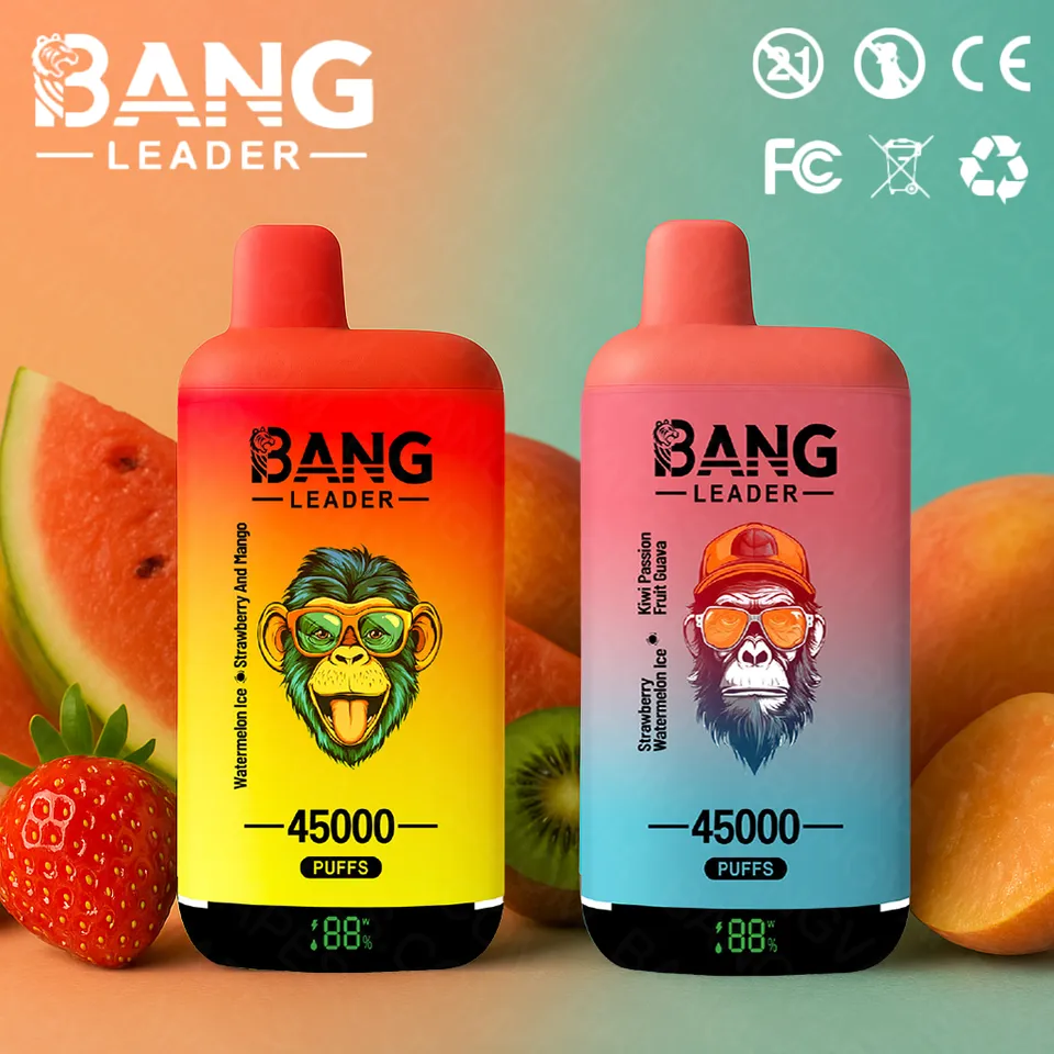 bang-leader-45k-einweg-vape-2-in-1-dual-flavor-45-000 image 1