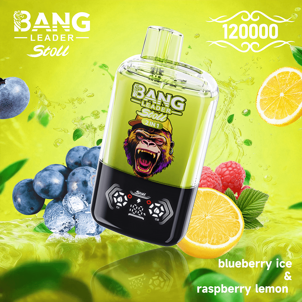 bang-leader-120k-dual-einweg-vape-120-000-z-ge-2-aromen image 4