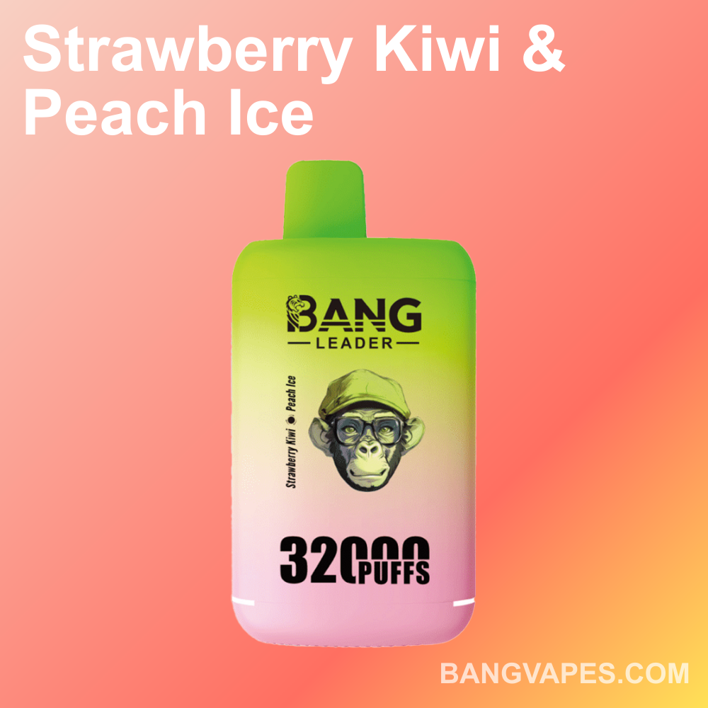 bang-leader-32k-dual-einweg-vape-2-sorten-32-000-z-ge image 5