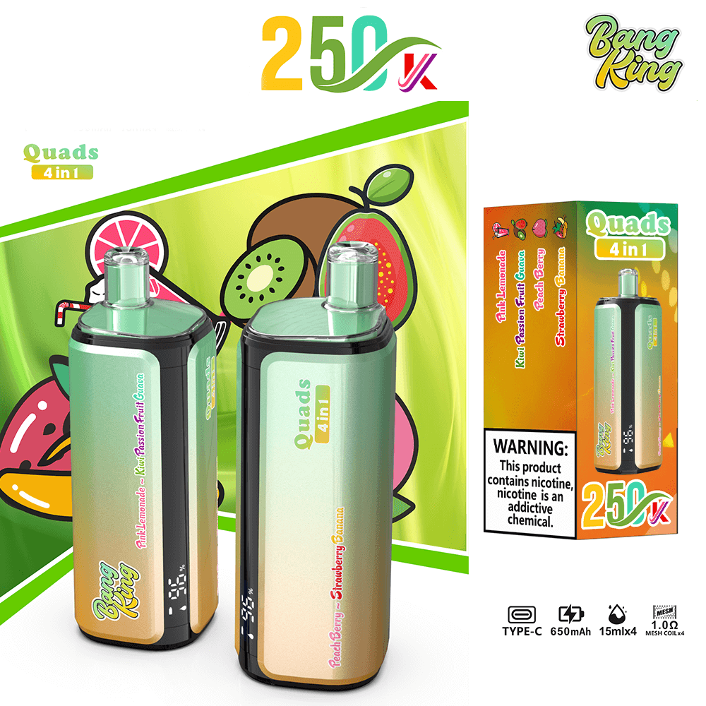 bang-king-250k-einweg-vape-4-in-1-sorten-mesh-coil image 7