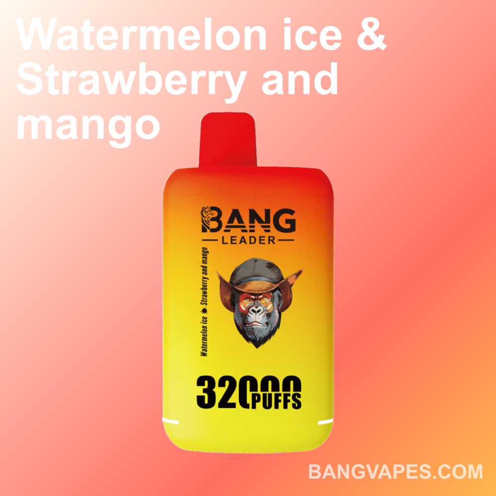 bang-leader-32k-dual-einweg-vape-2-sorten-32-000-z-ge image 2