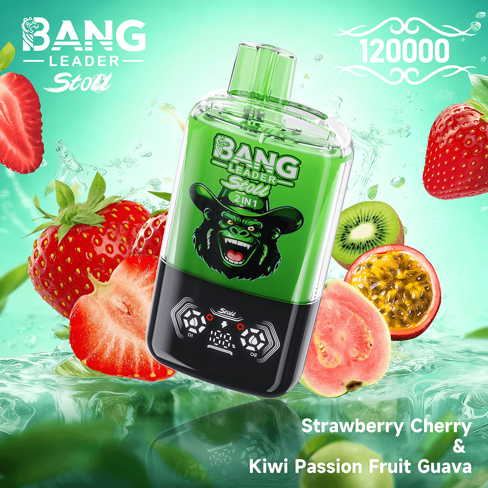 bang-leader-120k-dual-flavour-einweg-vape-120-000-z-ge-2-in-1 image 8