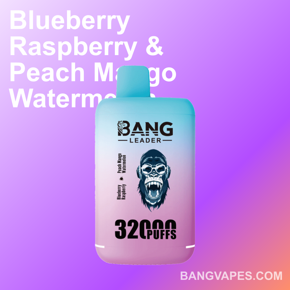 bang-leader-32k-einweg-vape-dual-flavor-32000-puffs-type-c image 4