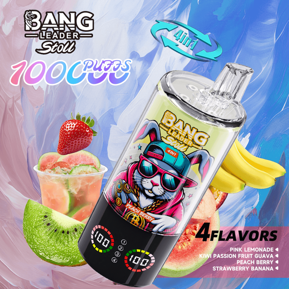bang-leader-100k-4-in-1-einweg-vape-100k-puffs-mesh image 6