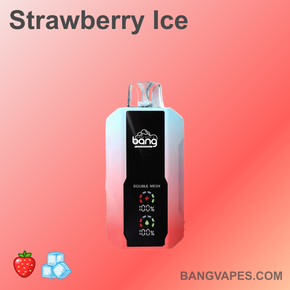 bang-25000-einweg-vape-25-000-z-ge-30ml-mesh image 8