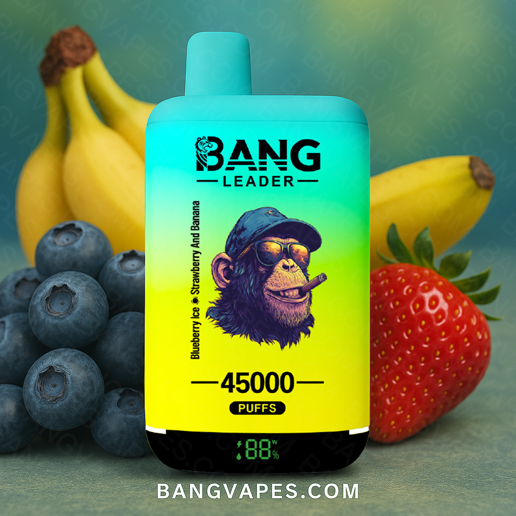 bang-leader-45k-einweg-vape-2-in-1-dual-flavor-45-000 image 3
