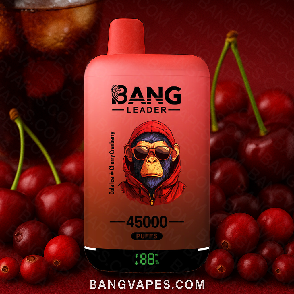 bang-leader-45k-einweg-vape-2-in-1-dual-flavor-45-000 image 6