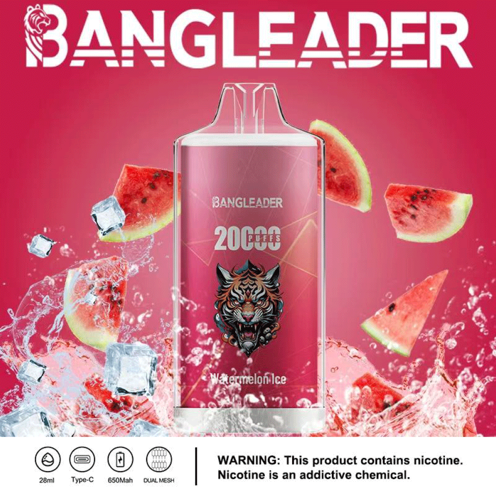 bang-leader-20k-einweg-vape-frucht-20k-1-st-ck image 2