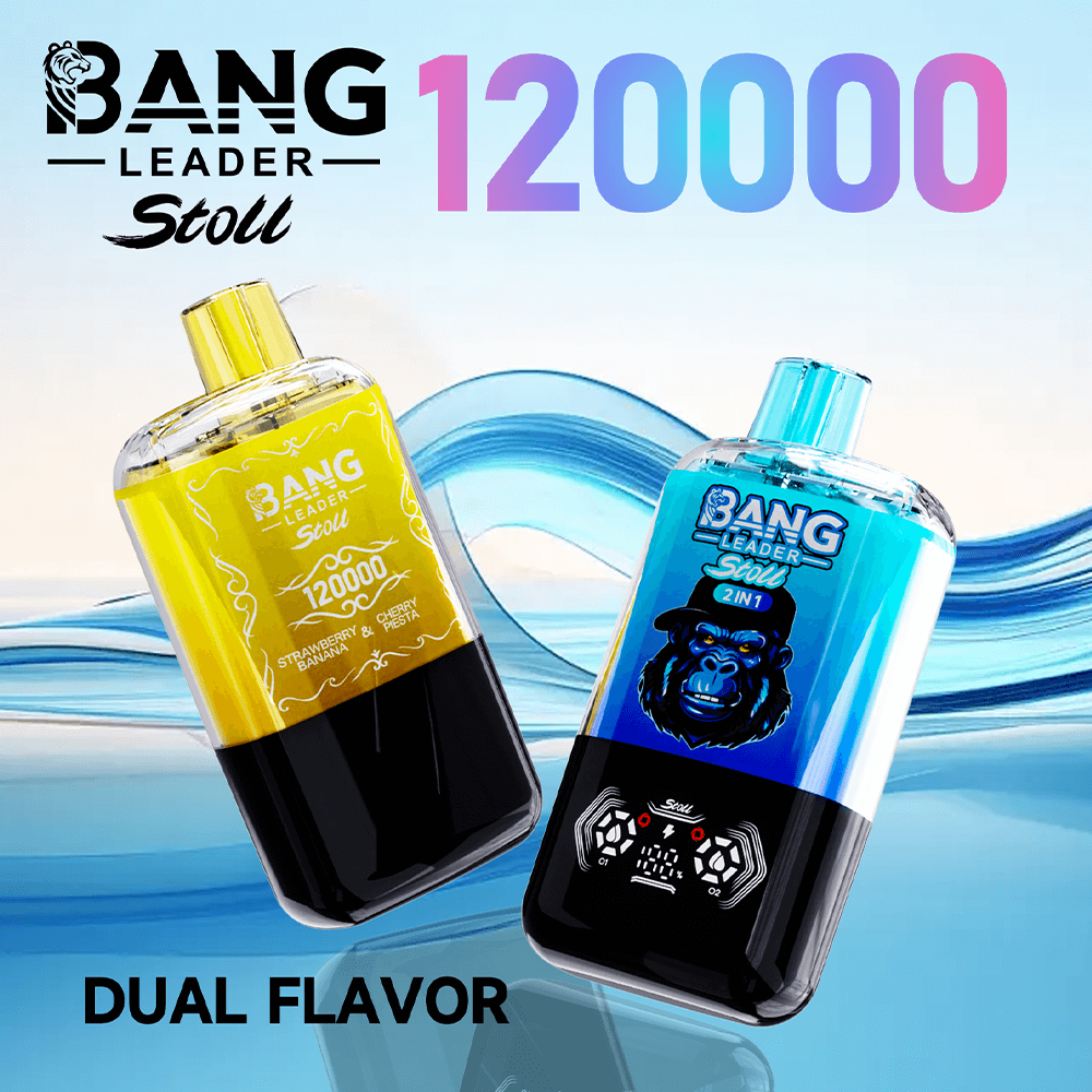 bang-leader-120k-dual-einweg-vape-120-000-z-ge-2-aromen image 1