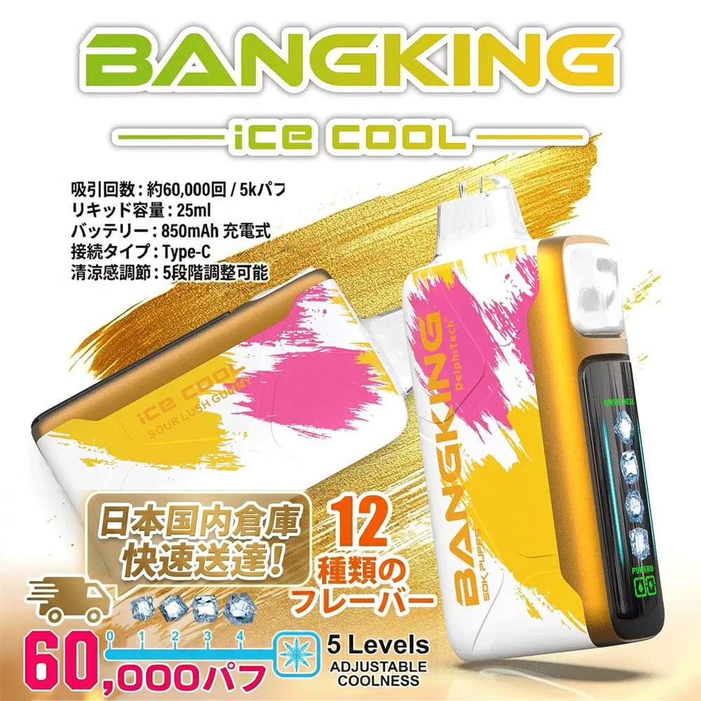 bang-king-ice-cool-60k-einweg-vape-eis-5-stufen image 1