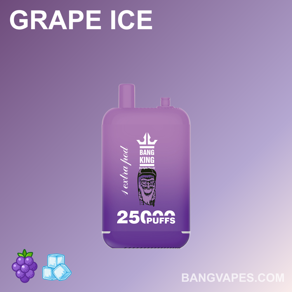 bang-king-25k-einweg-vape-25-000-z-ge-frucht-single-flavour image 4