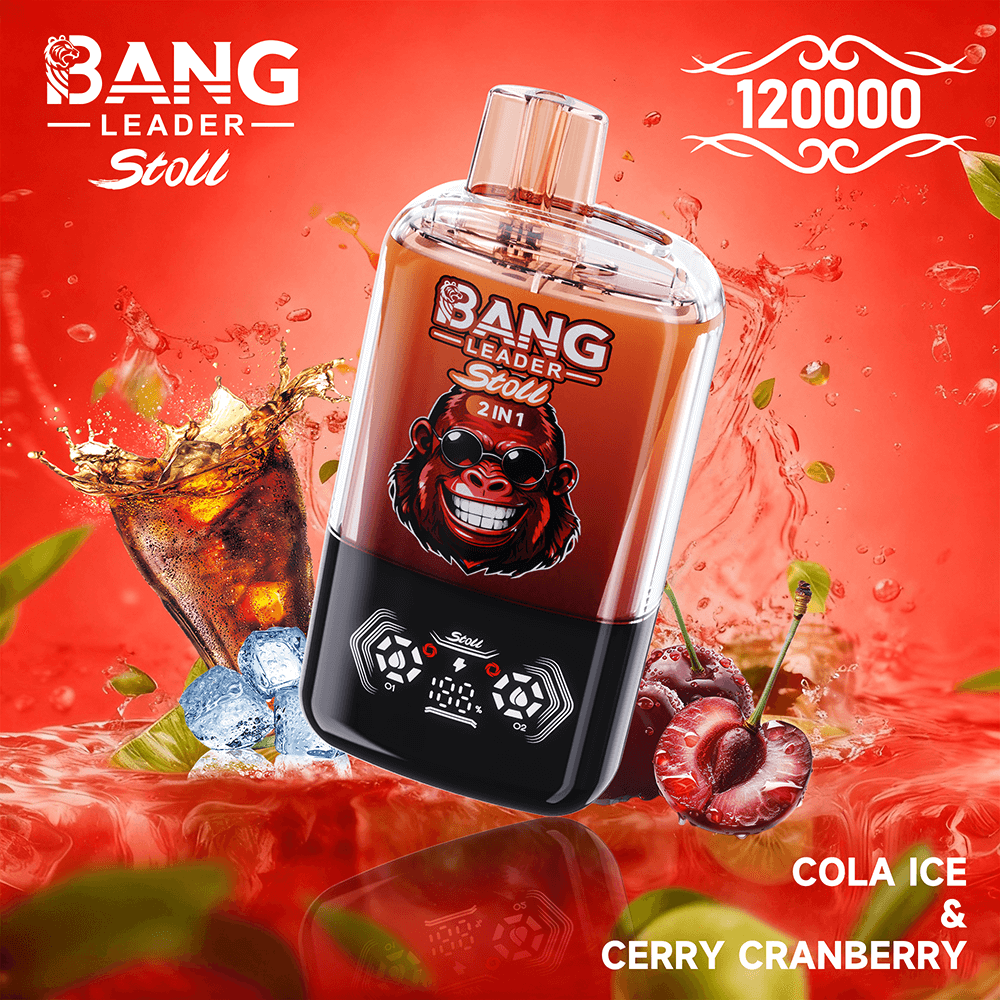 bang-leader-120k-dual-einweg-vape-120-000-z-ge-2-aromen image 5