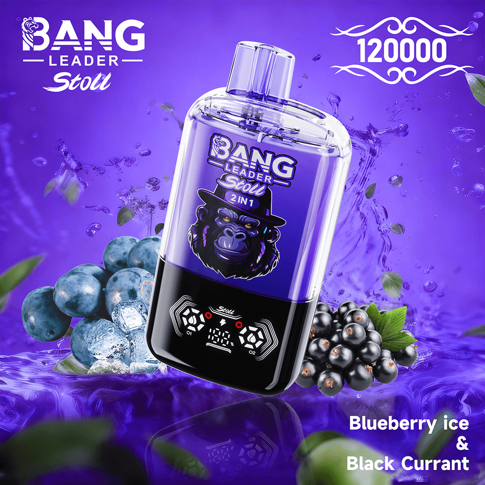 bang-leader-120k-dual-einweg-vape-120-000-z-ge-2-aromen image 3