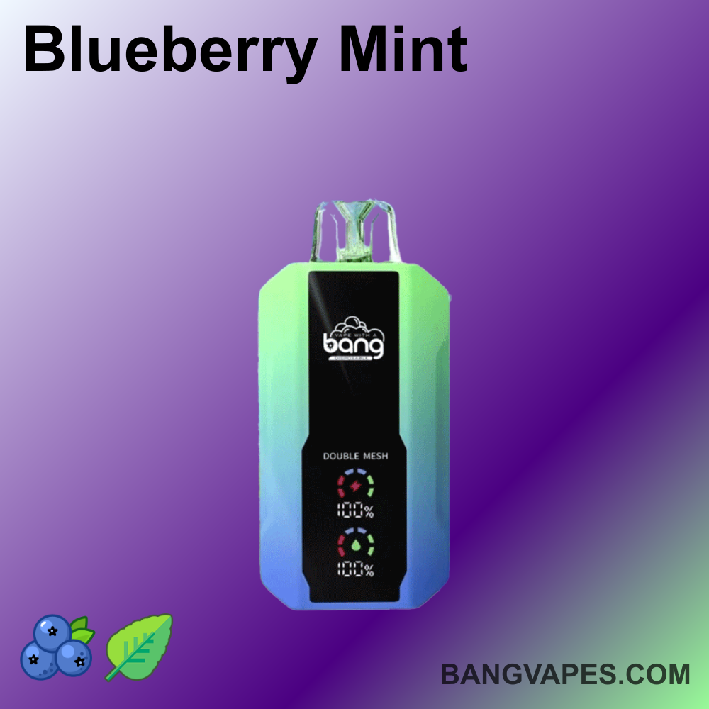 bang-25000-einweg-vape-25-000-z-ge-30ml-mesh image 3