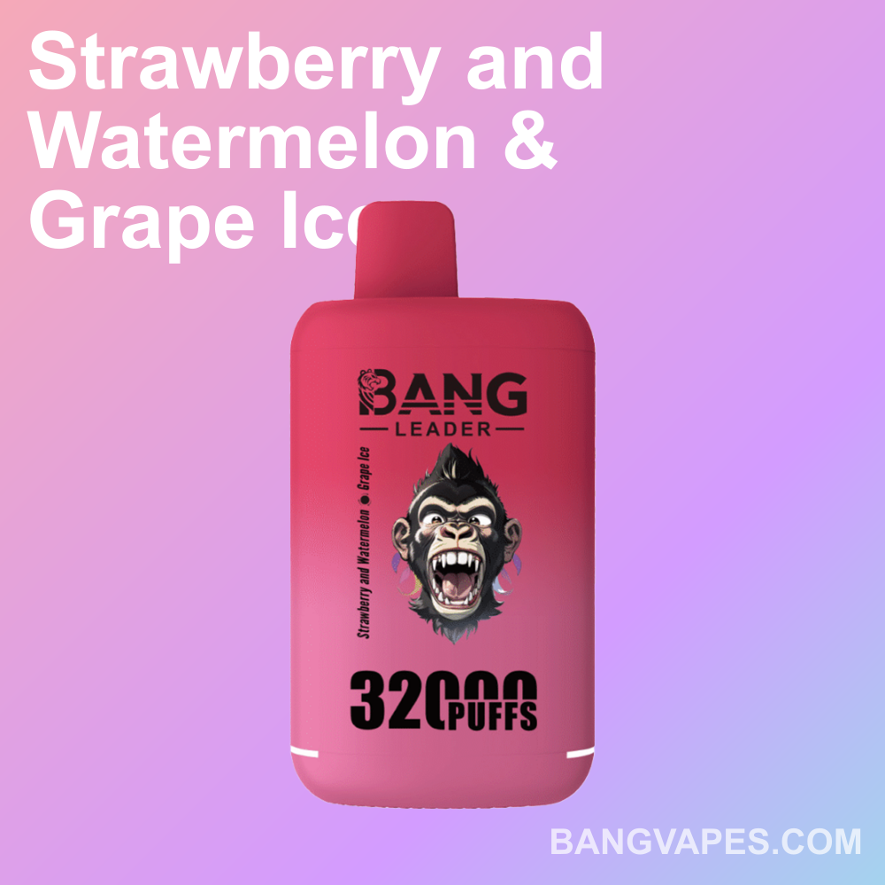 bang-leader-32k-dual-einweg-vape-2-sorten-32-000-z-ge image 6