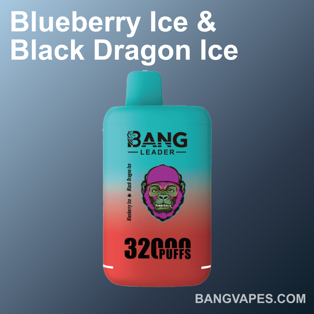 bang-leader-32k-einweg-vape-dual-flavor-32000-puffs-type-c image 2