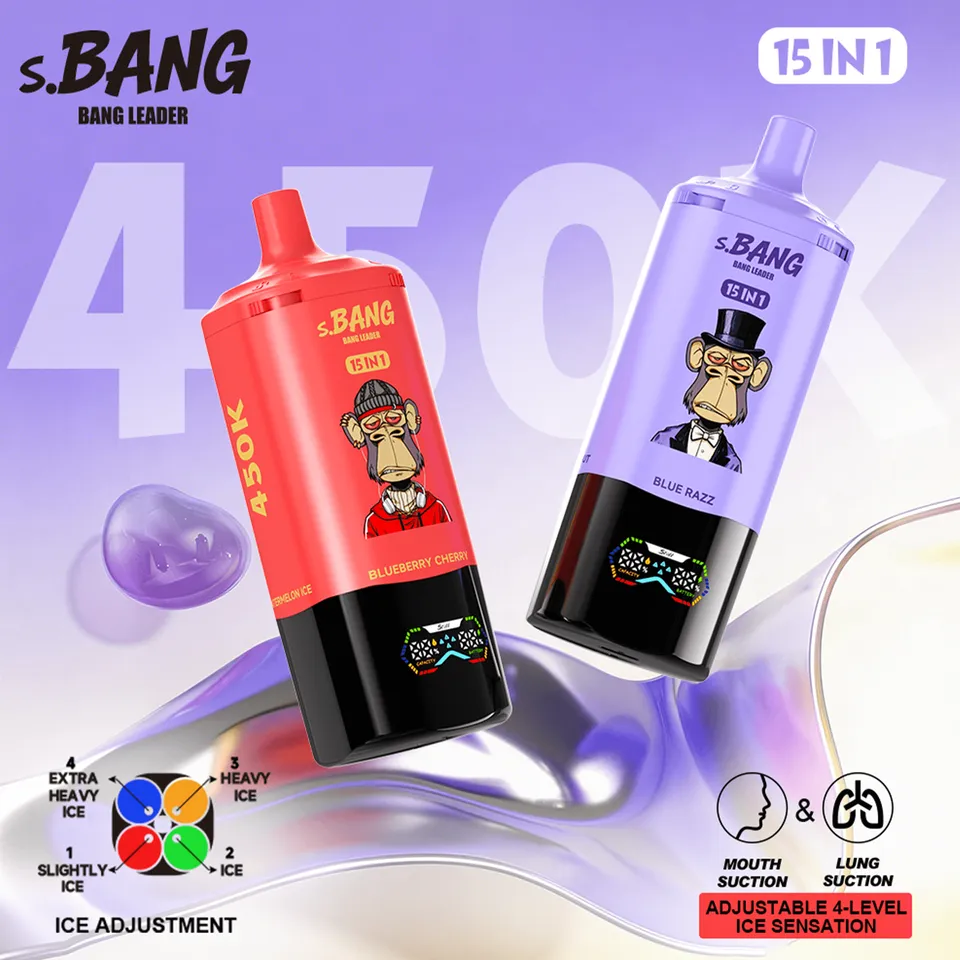 bang-leader-450k-einweg-vape-15-in-1-ice-control image 1
