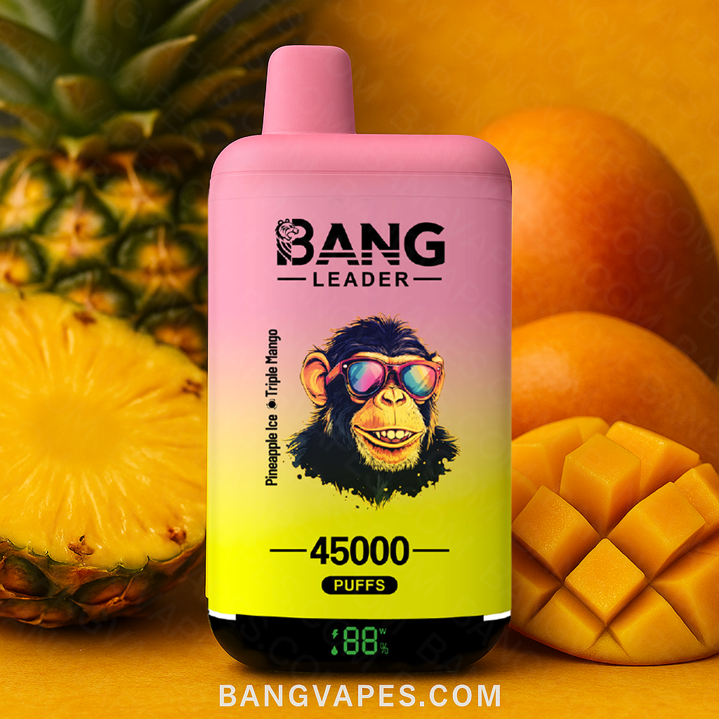 bang-leader-45k-einweg-vape-2-in-1-dual-flavor-45-000 image 7