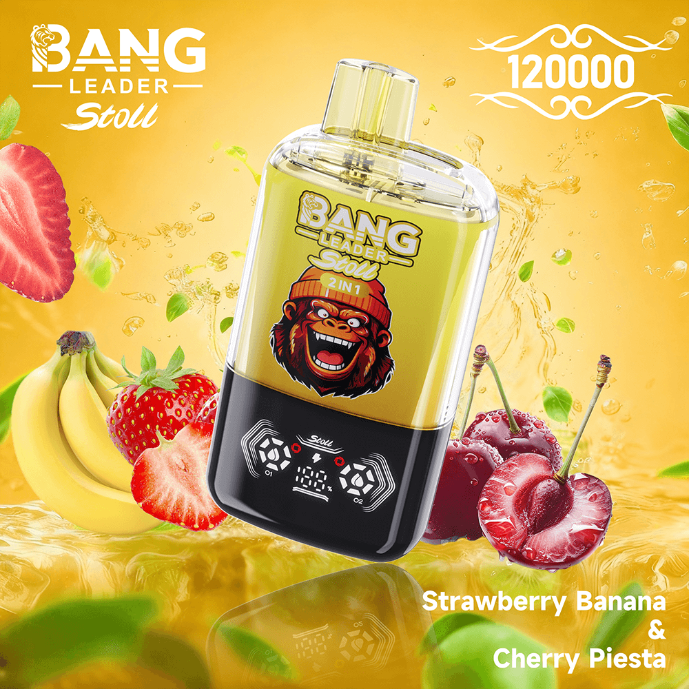 bang-leader-120k-dual-einweg-vape-120-000-z-ge-2-aromen image 8